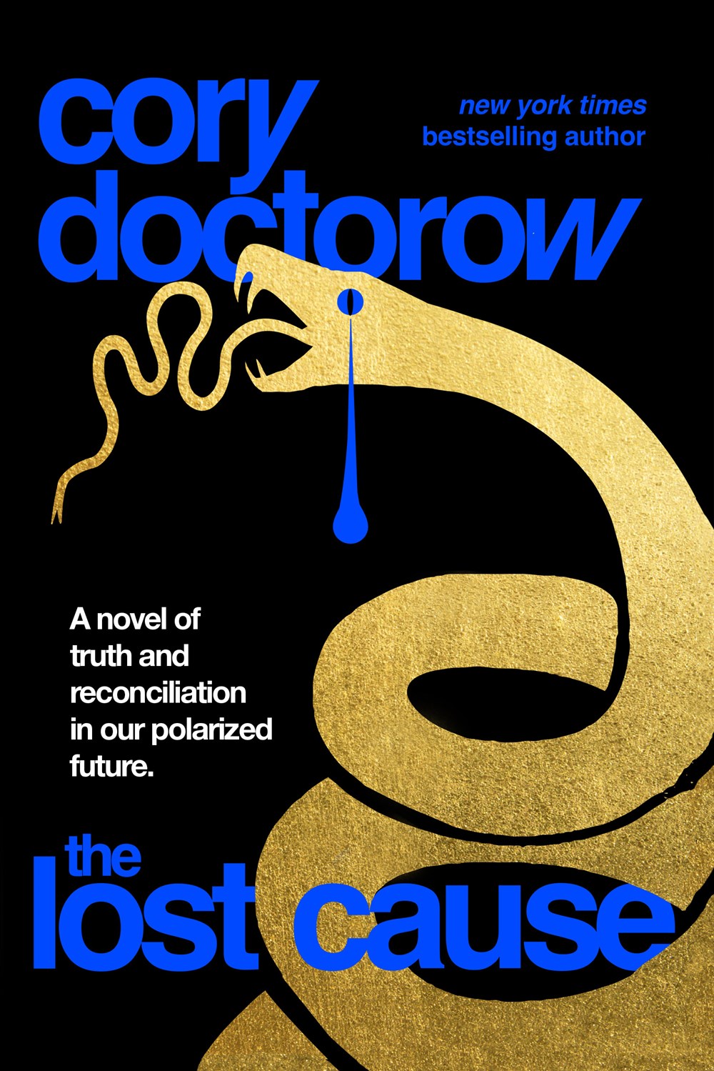 Cory Doctorow: The Lost Cause (Hardcover, 2023, Tor Publishing Group)